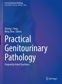 Cover image: Practical Genitourinary Pathology 1st edition 9783030571405