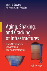 Imagen de portada: Aging, Shaking, and Cracking of Infrastructures 1st edition 9783030574338