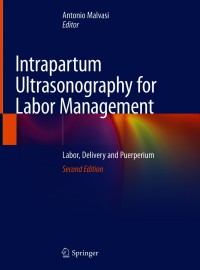 Cover image: Intrapartum Ultrasonography for Labor Management 2nd edition 9783030575946