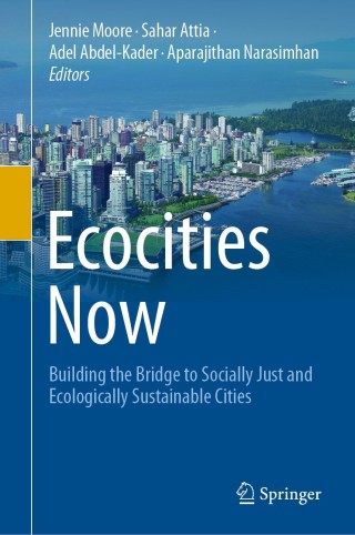 Imagen de portada: Ecocities Now 1st edition 9783030583989