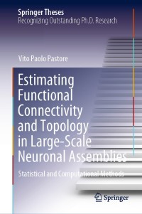 Omslagafbeelding: Estimating Functional Connectivity and Topology in Large-Scale Neuronal Assemblies 9783030590413