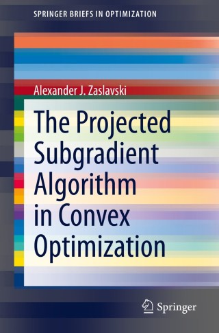 Immagine di copertina: The Projected Subgradient Algorithm in Convex Optimization 9783030602994