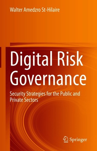 Omslagafbeelding: Digital Risk Governance 9783030613853