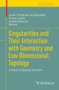 Omslagafbeelding: Singularities and Their Interaction with Geometry and Low Dimensional Topology 9783030619572
