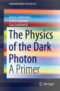 صورة الغلاف: The Physics of the Dark Photon 9783030625184
