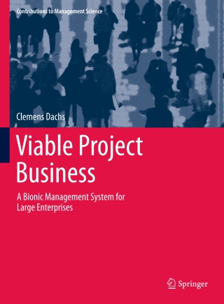 Imagen de portada: Viable Project Business 9783030629038