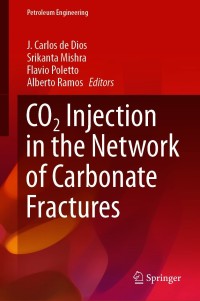 Cover image: CO2 Injection in the Network of Carbonate Fractures 1st edition 9783030629854