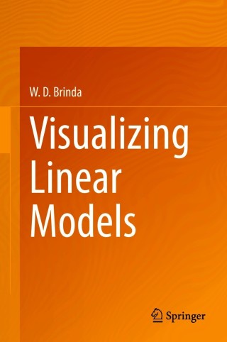 Immagine di copertina: Visualizing Linear Models 9783030641665