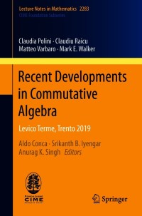 Cover image: Recent Developments in Commutative Algebra 9783030650636