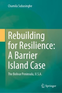 Cover image: Rebuilding for Resilience: A Barrier Island Case 9783030655310