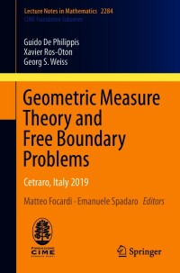 Imagen de portada: Geometric Measure Theory and Free Boundary Problems 9783030657987
