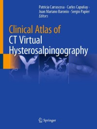 Cover image: Clinical Atlas of CT Virtual Hysterosalpingography 9783030662066