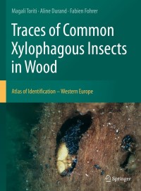 Imagen de portada: Traces of Common Xylophagous Insects in Wood 9783030663902