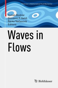 Immagine di copertina: Waves in Flows 9783030678449