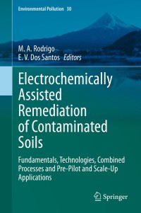 Titelbild: Electrochemically Assisted Remediation of Contaminated Soils 9783030681395