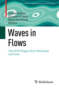 表紙画像: Waves in Flows 9783030681432