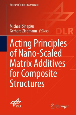表紙画像: Acting Principles of Nano-Scaled Matrix Additives for Composite Structures 9783030685225