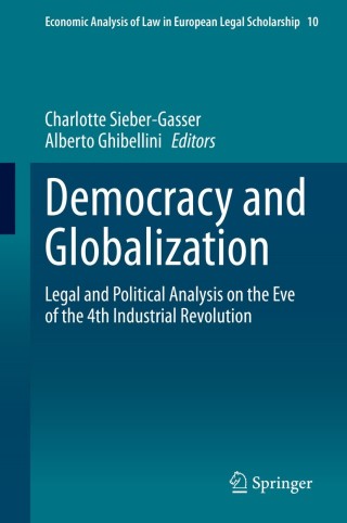 Imagen de portada: Democracy and Globalization 9783030691530