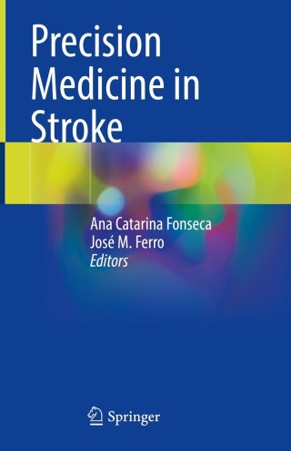 Imagen de portada: Precision Medicine in Stroke 9783030707606