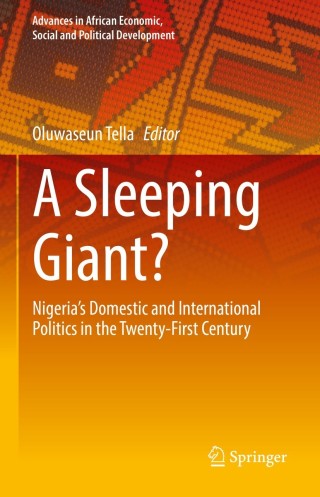 Imagen de portada: A Sleeping Giant? 9783030733742