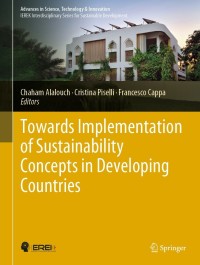 Omslagafbeelding: Towards Implementation of Sustainability Concepts in Developing Countries 9783030743482