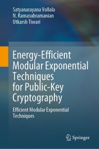 Imagen de portada: Energy-Efficient Modular Exponential Techniques for Public-Key Cryptography 9783030745233