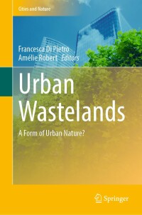 Cover image: Urban Wastelands 9783030748814