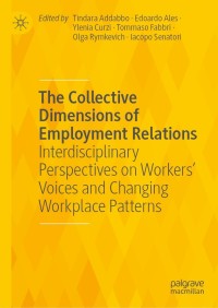 Imagen de portada: The Collective Dimensions of Employment Relations 9783030755317