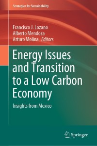 表紙画像: Energy Issues and Transition to a Low Carbon Economy 9783030756604