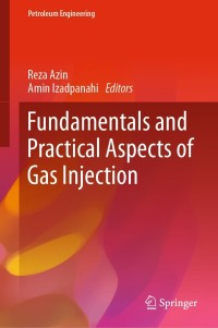 Titelbild: Fundamentals and Practical Aspects of Gas Injection 9783030771997