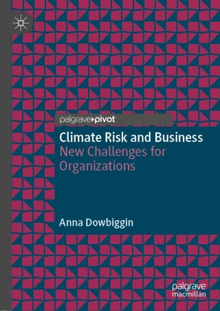 Immagine di copertina: Climate Risk and Business 9783030782436