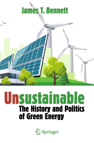 Cover image: Unsustainable 9783030789039