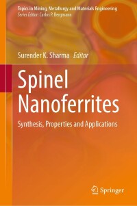 صورة الغلاف: Spinel Nanoferrites 9783030799595