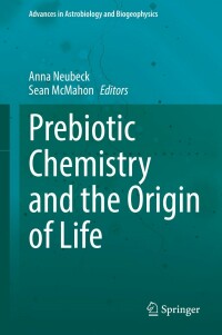 Immagine di copertina: Prebiotic Chemistry and the Origin of Life 9783030810382