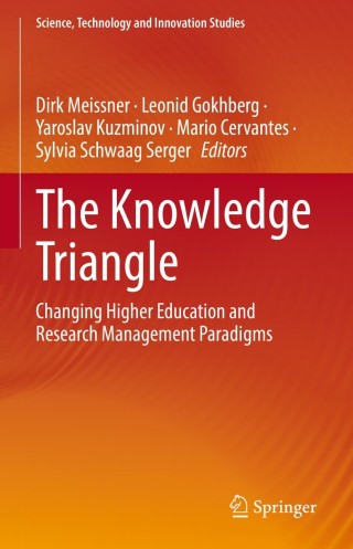 Imagen de portada: The Knowledge Triangle 9783030813451
