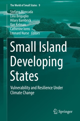 Imagen de portada: Small Island Developing States 9783030827731