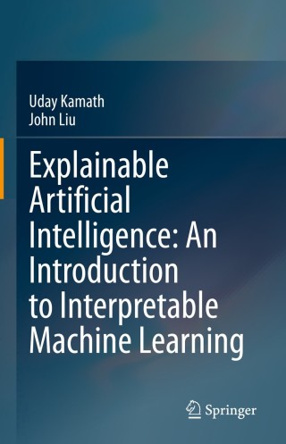 Imagen de portada: Explainable Artificial Intelligence: An Introduction to Interpretable Machine Learning 9783030833558
