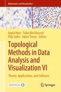 Titelbild: Topological Methods in Data Analysis and Visualization VI 9783030834999