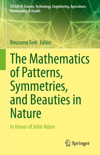 Imagen de portada: The Mathematics of Patterns, Symmetries, and Beauties in Nature 9783030845957