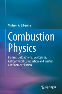 Immagine di copertina: Combustion Physics 9783030851385