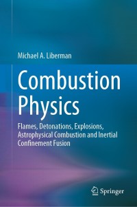 صورة الغلاف: Combustion Physics 9783030851385