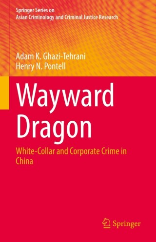 Cover image: Wayward Dragon 9783030907037