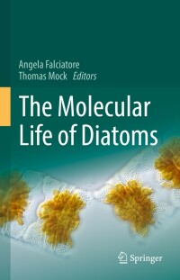 Omslagafbeelding: The Molecular Life of Diatoms 9783030924980