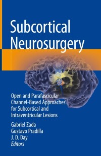 Imagen de portada: Subcortical Neurosurgery 9783030951528