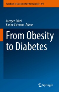 Cover image: From Obesity to Diabetes 9783030999940