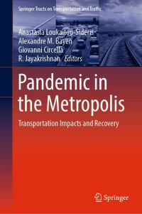 Immagine di copertina: Pandemic in the Metropolis 9783031001475