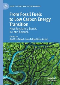 Cover image: From Fossil Fuels to Low Carbon Energy Transition 9783031002984