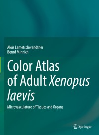 表紙画像: Color Atlas of Adult Xenopus laevis 9783031051098
