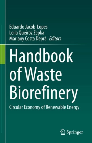 Immagine di copertina: Handbook of Waste Biorefinery 9783031065613