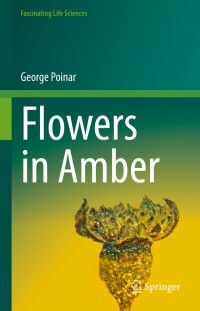 Cover image: Flowers in Amber 9783031090431